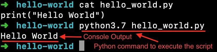 Программа Python Hello World, запуск из терминала